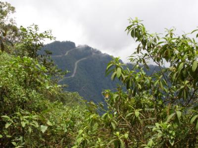 Puerto Asís contexto ecológico